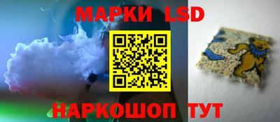 гидра Гатчина