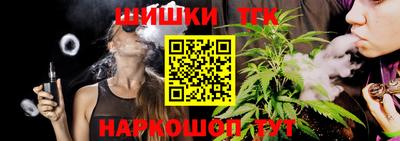 гидра Гатчина