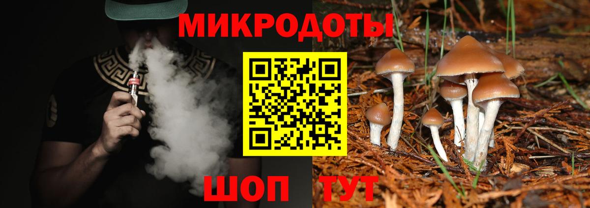 A-PVP Надым