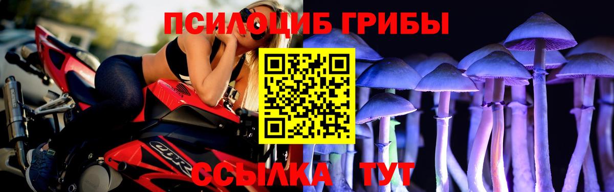 Псилоцибиновые грибы Psilocybine cubensis  Вход с VPN  Надым 